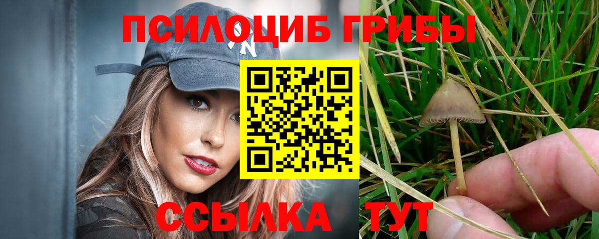 Псилоцибиновые грибы GOLDEN TEACHER Краснокаменск